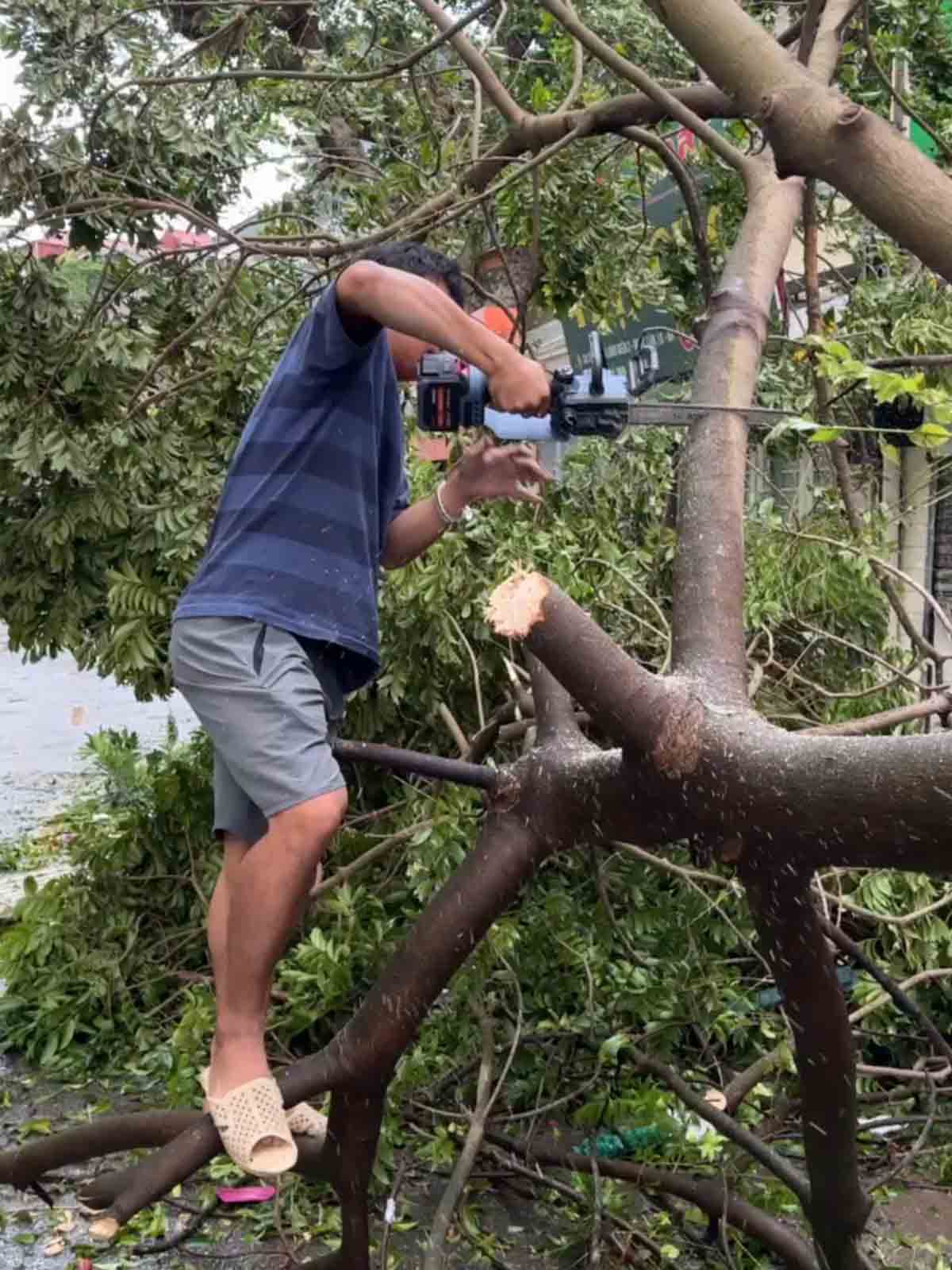 Máy cưa xích YAMASU hỗ trợ khắc phục hậu quả do bão YAGI để lại