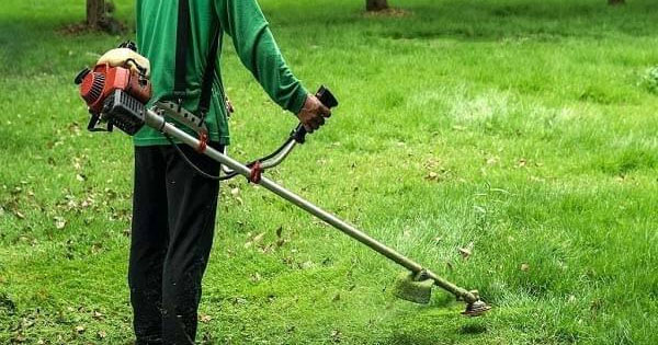 Phân loại máy cắt cỏ