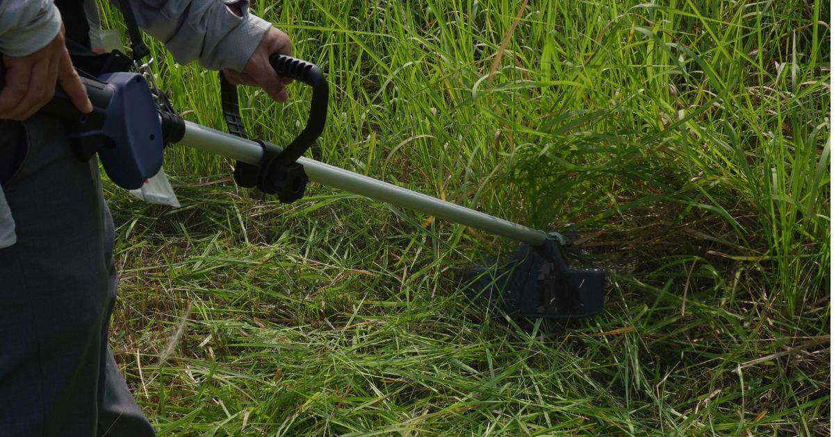 So sánh máy cắt cỏ pin và máy cắt cỏ chạy xăng