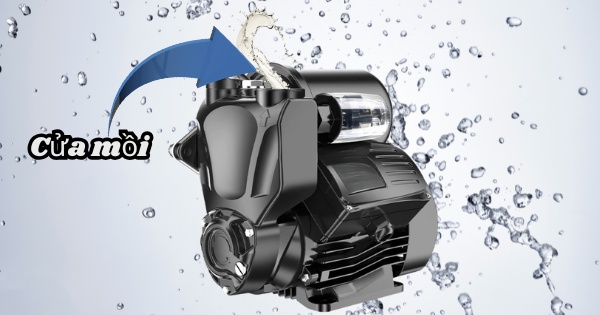 Tại sao phải mồi nước cho máy bơm?