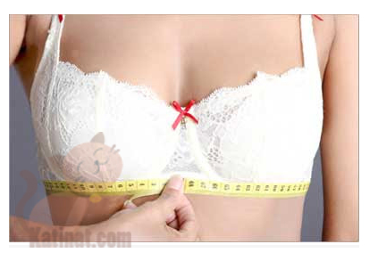 do size ao nguc duoi ao