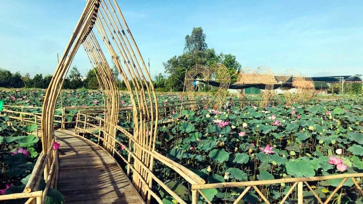 Các tiểu cảnh và khu vực check-in