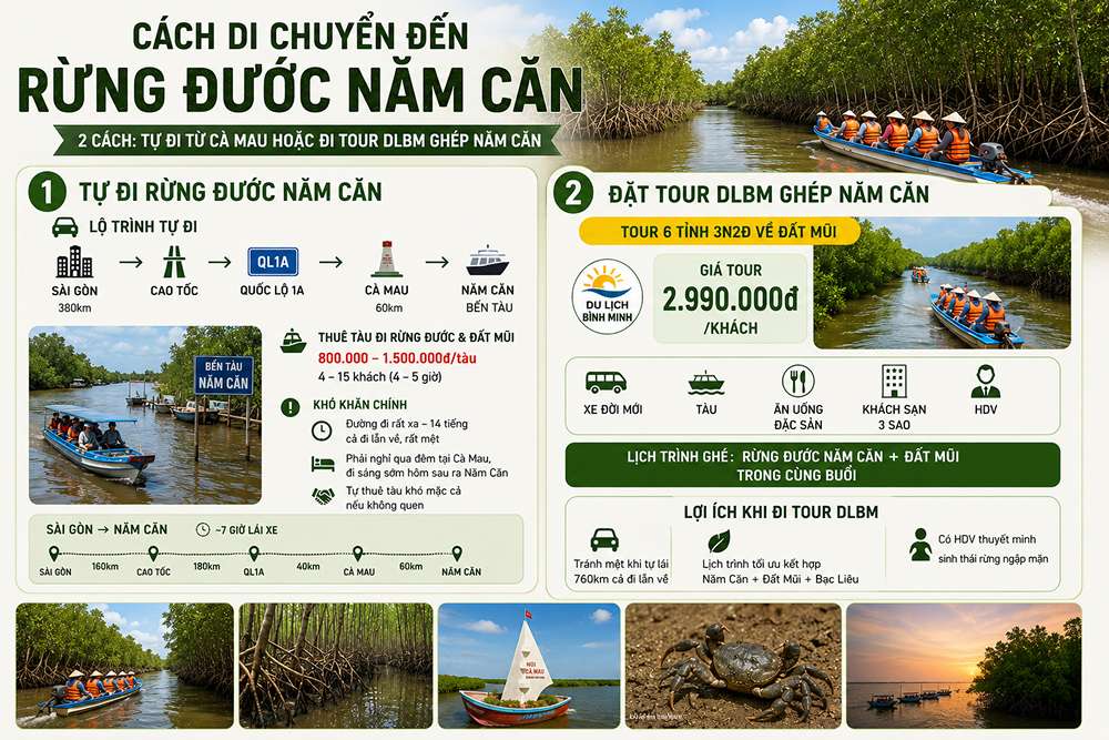 Cách di chuyển đến rừng đước Năm Căn