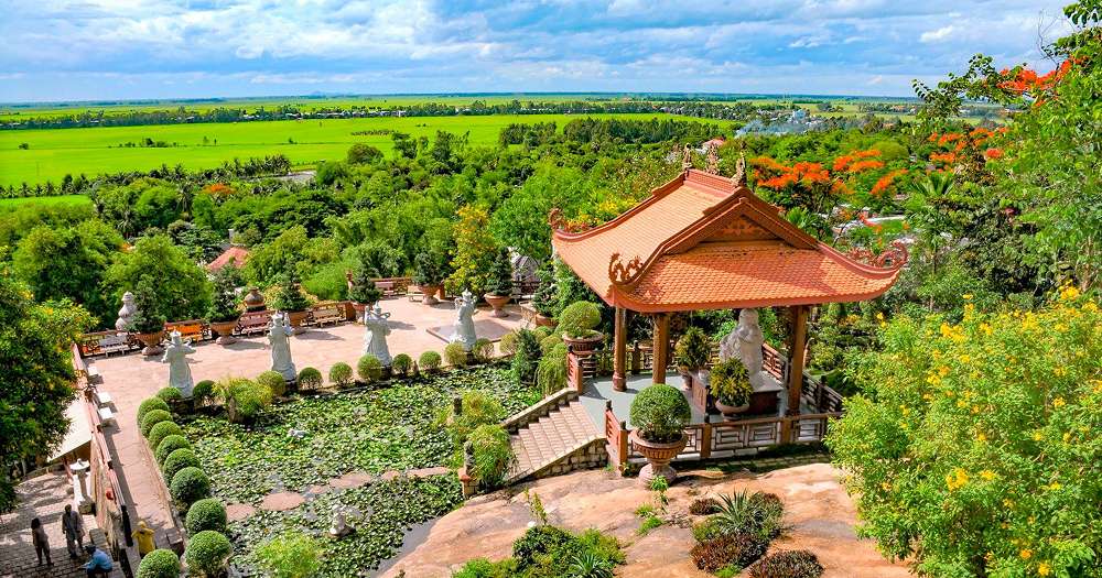 Cánh đồng xanh mướt xung quanh chùa