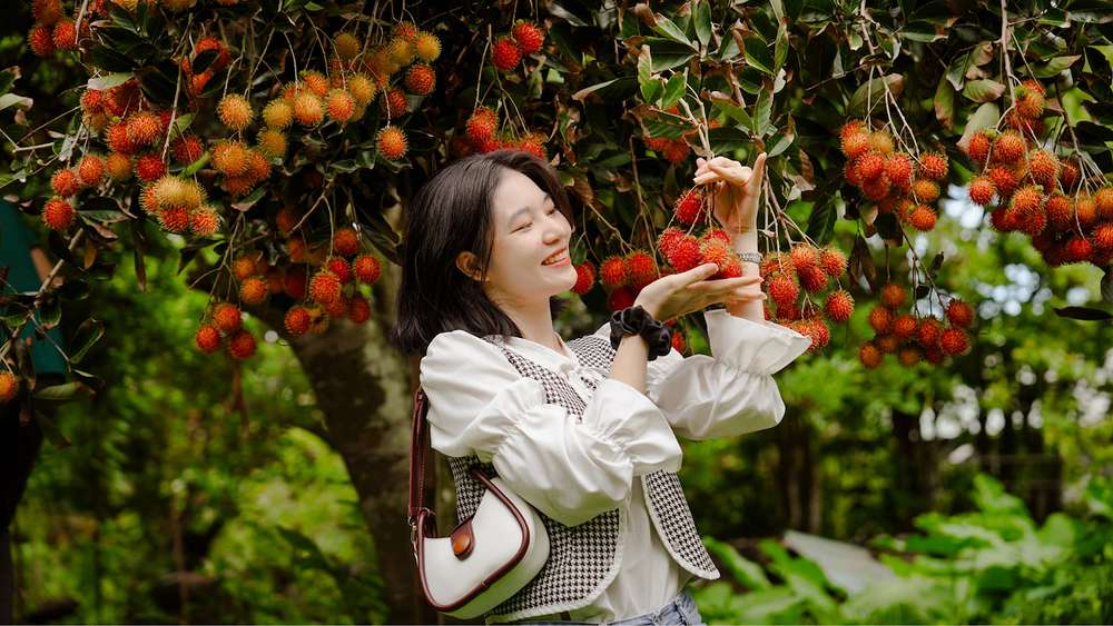 Tham quan vườn trái cây miệt vườn