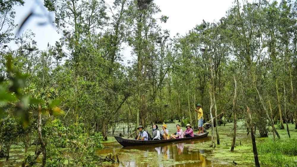 Chèo xuồng tham quan rừng tràm