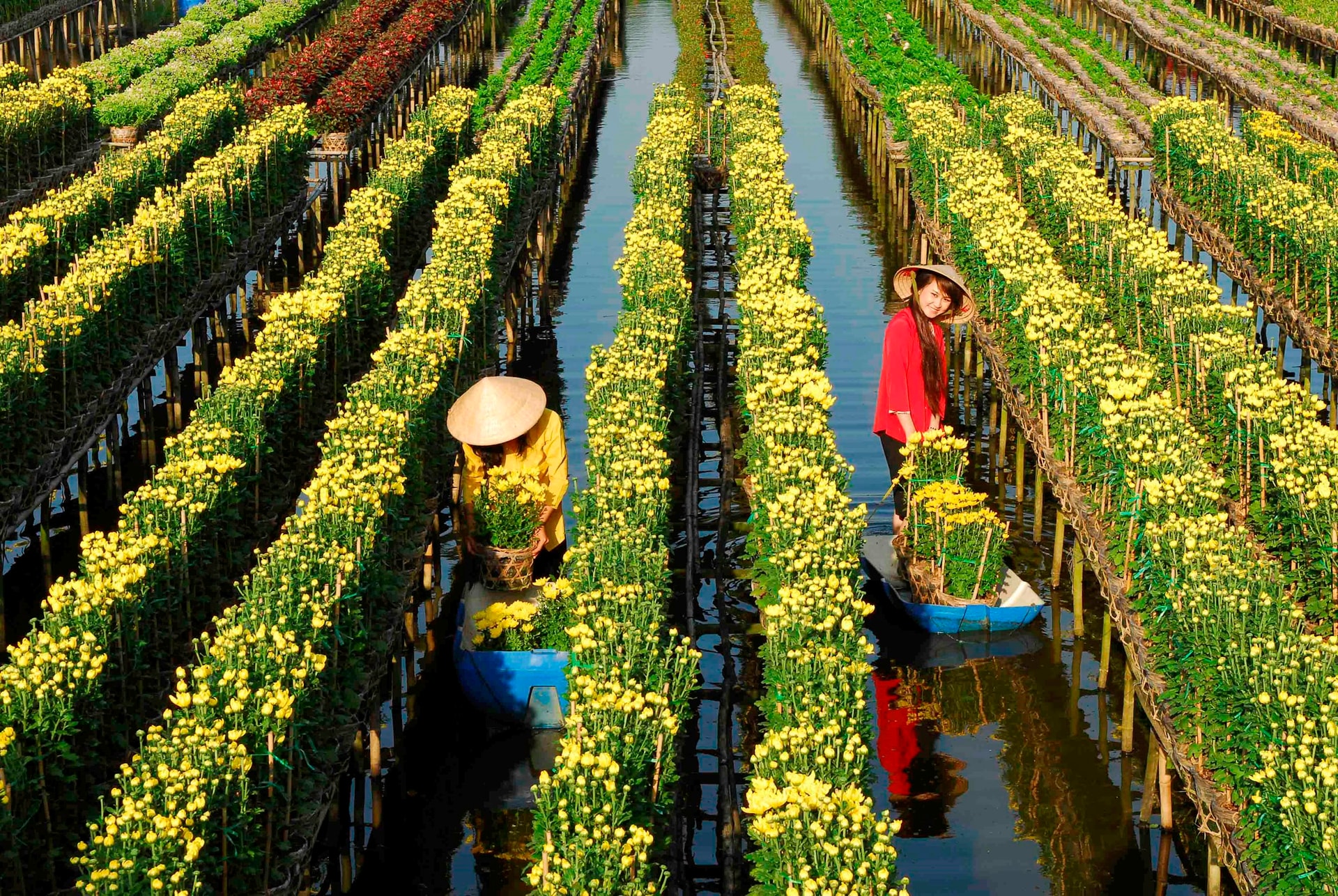 Chụp ảnh giữa vườn hoa