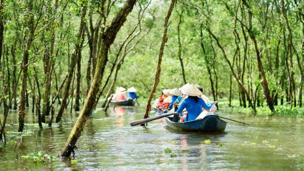 Đi xuồng ghe len lỏi qua kênh rạch mùa nước lớn