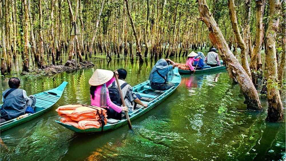 Đi xuồng xuyên rừng tràm Gáo Giồng