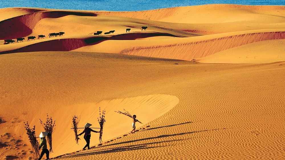 Đồi cát ven biển và cảnh quan tự nhiên tại Hòn Rơm