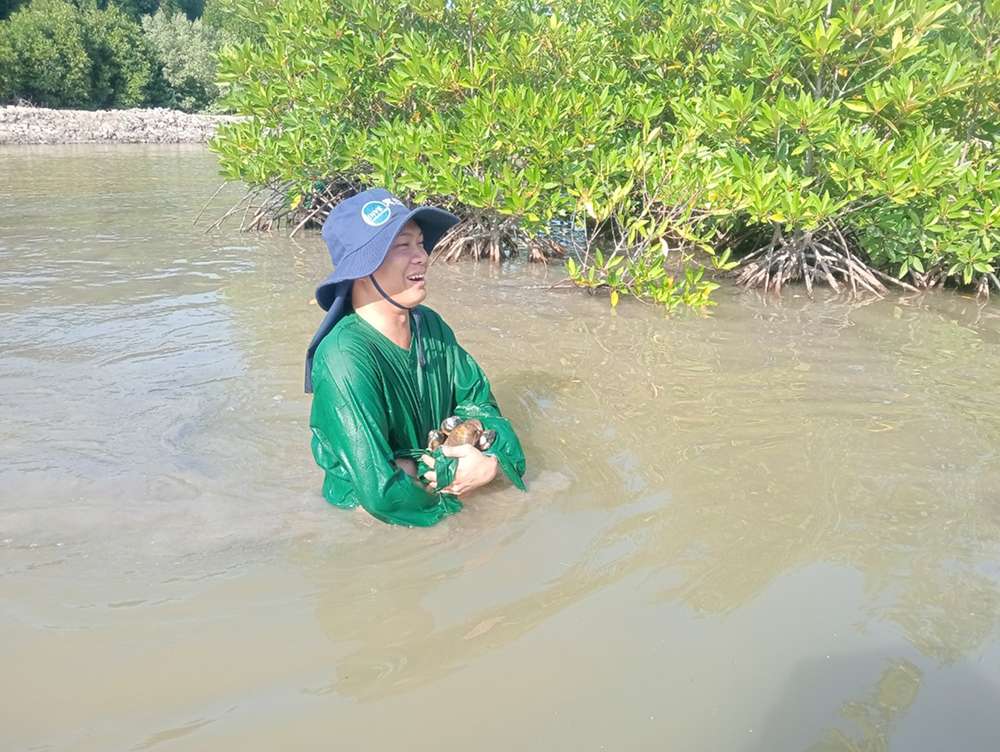 Du khách trải nghiệm hoạt động tham quan rừng ngập mặn