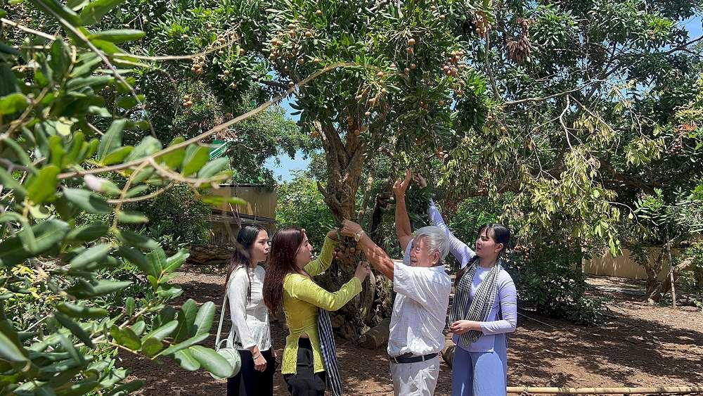 Du khách trải nghiệm tham quan tại vườn