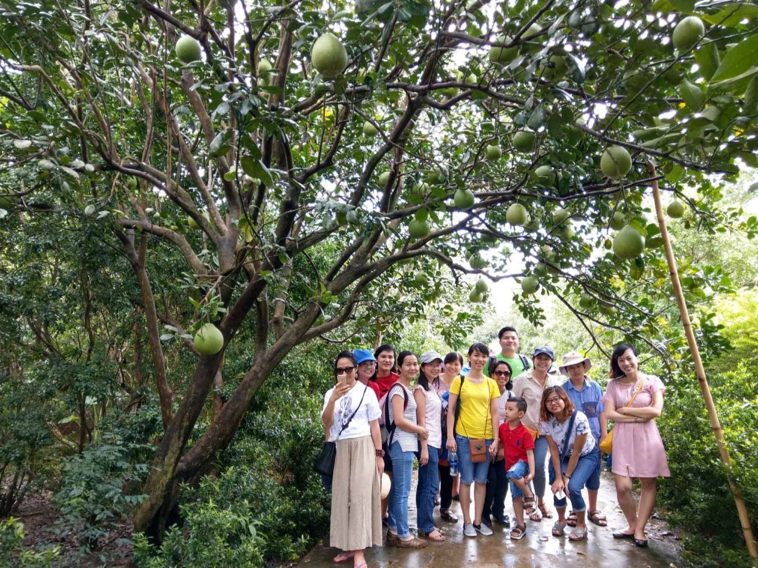 Gợi Ý Tour Kết Hợp Vườn Trái Cây Vĩnh Kim