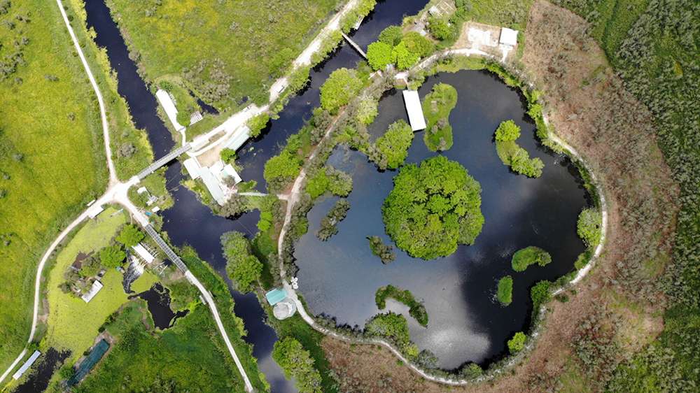 Hồ Hoa Mai nhìn từ trên cao