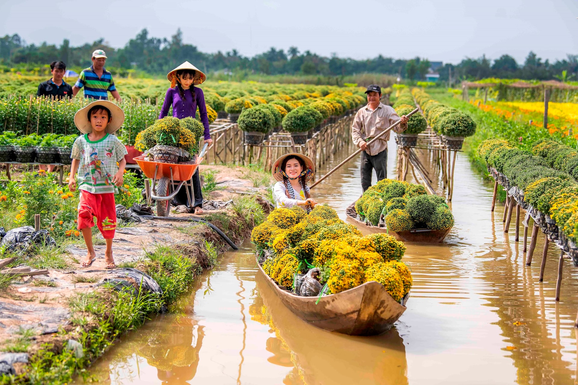 Hoa phục vụ Tết Nguyên Đán