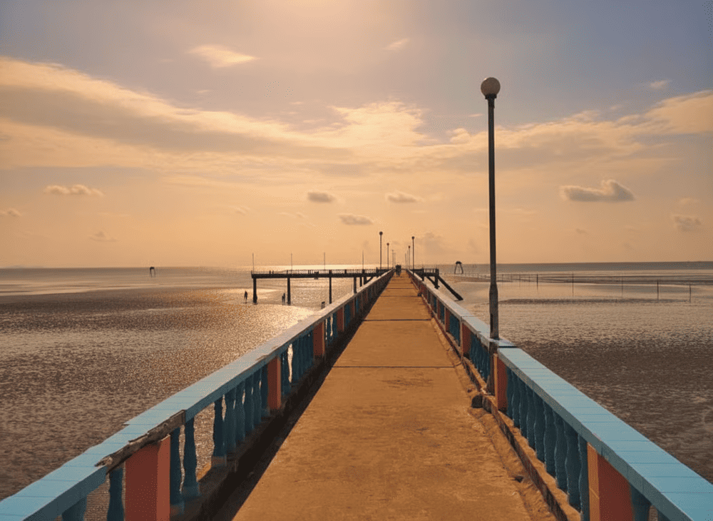 Hoạt Động Tại Bãi Tân Thành