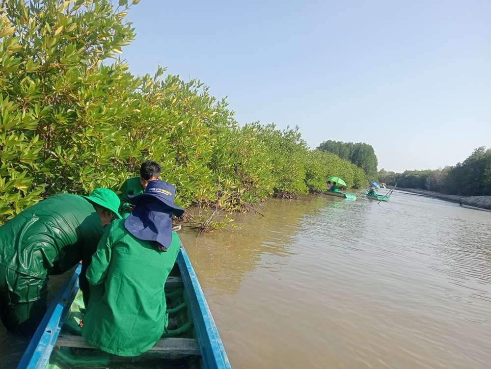 Hệ sinh thái rừng ngập mặn
