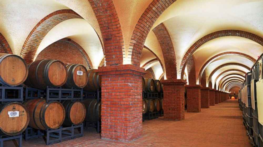 Không gian bên trong và hầm rượu vang tại Lâu đài RD