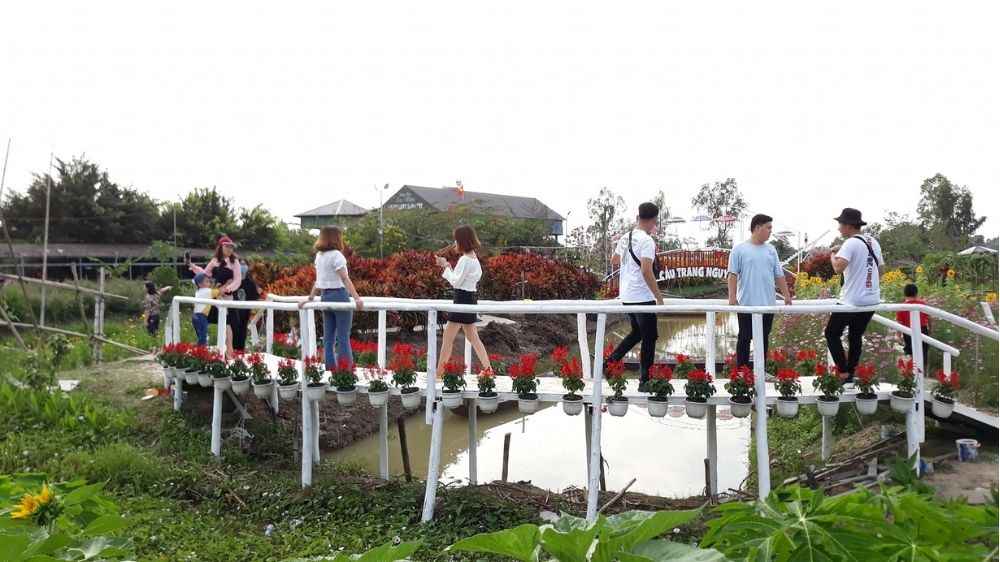 Không gian xanh và khu check-in chụp ảnh