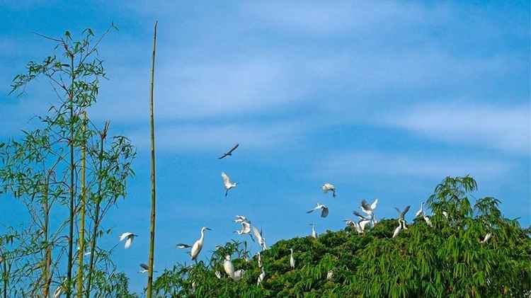 Khu sinh thái rộng lớn bậc nhất