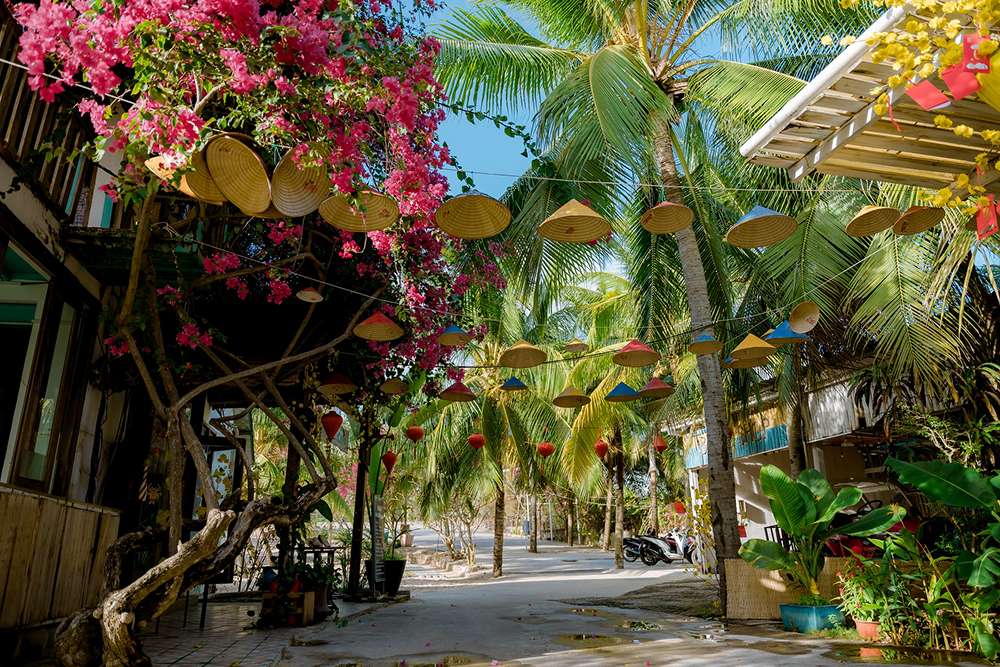 Khung cảnh bên trong khu Coco Beach Camp