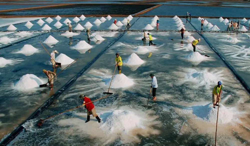 Lịch Sử Nghề Muối Bạc Liêu