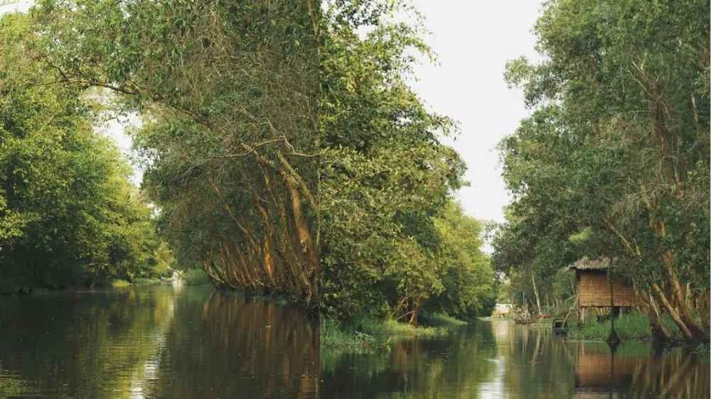 Lưu ý an toàn khi đi xuồng và tham quan rừng Gáo Giồng