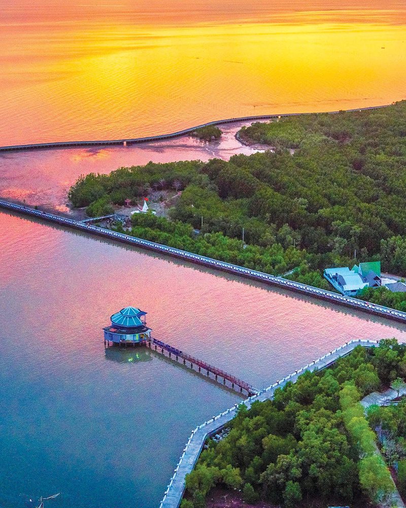 Nên đi du lịch Cà Mau vào thời gian nào đẹp nhất?