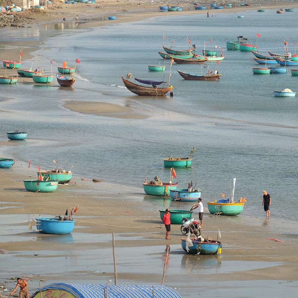 Hình ảnh thuyền thúng tại làng chài