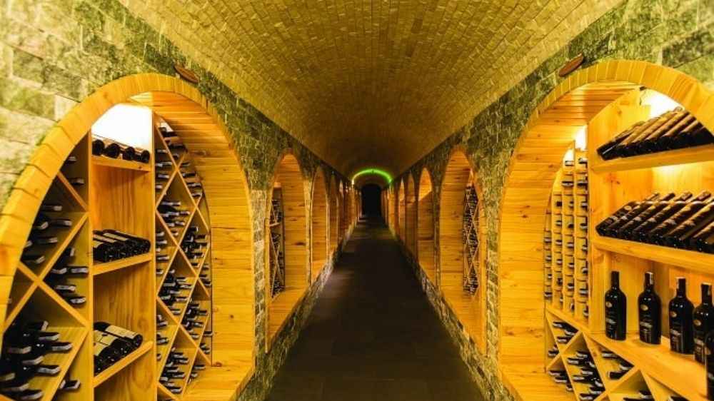 Trải nghiệm tham quan hầm rượu vang tại Lâu đài RD