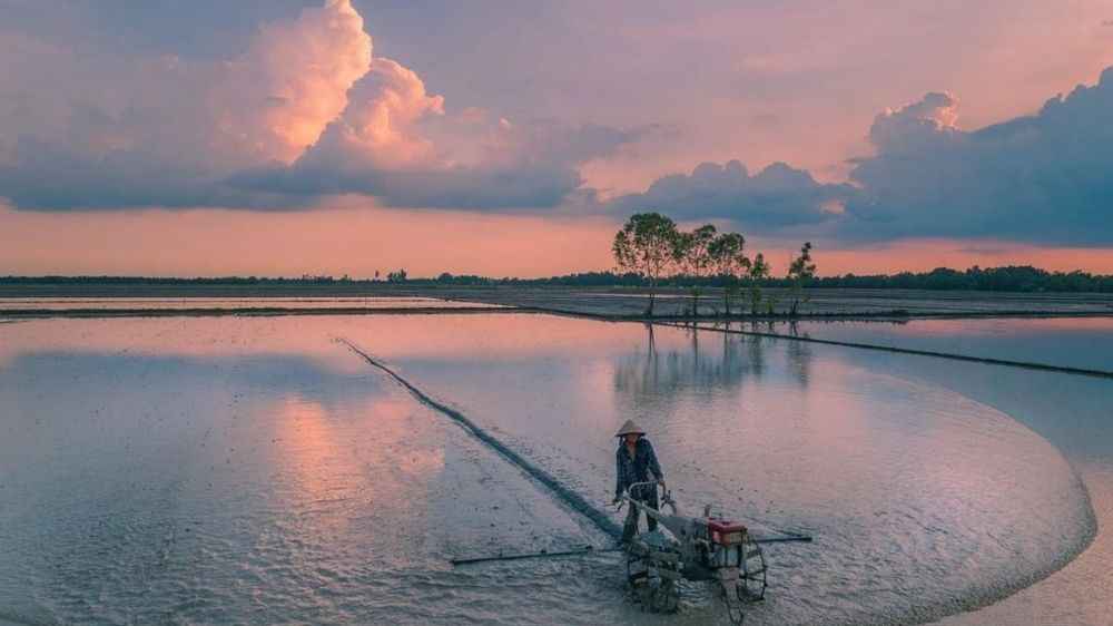 Thời điểm đẹp và an toàn du lịch miền Tây mùa nước nổi