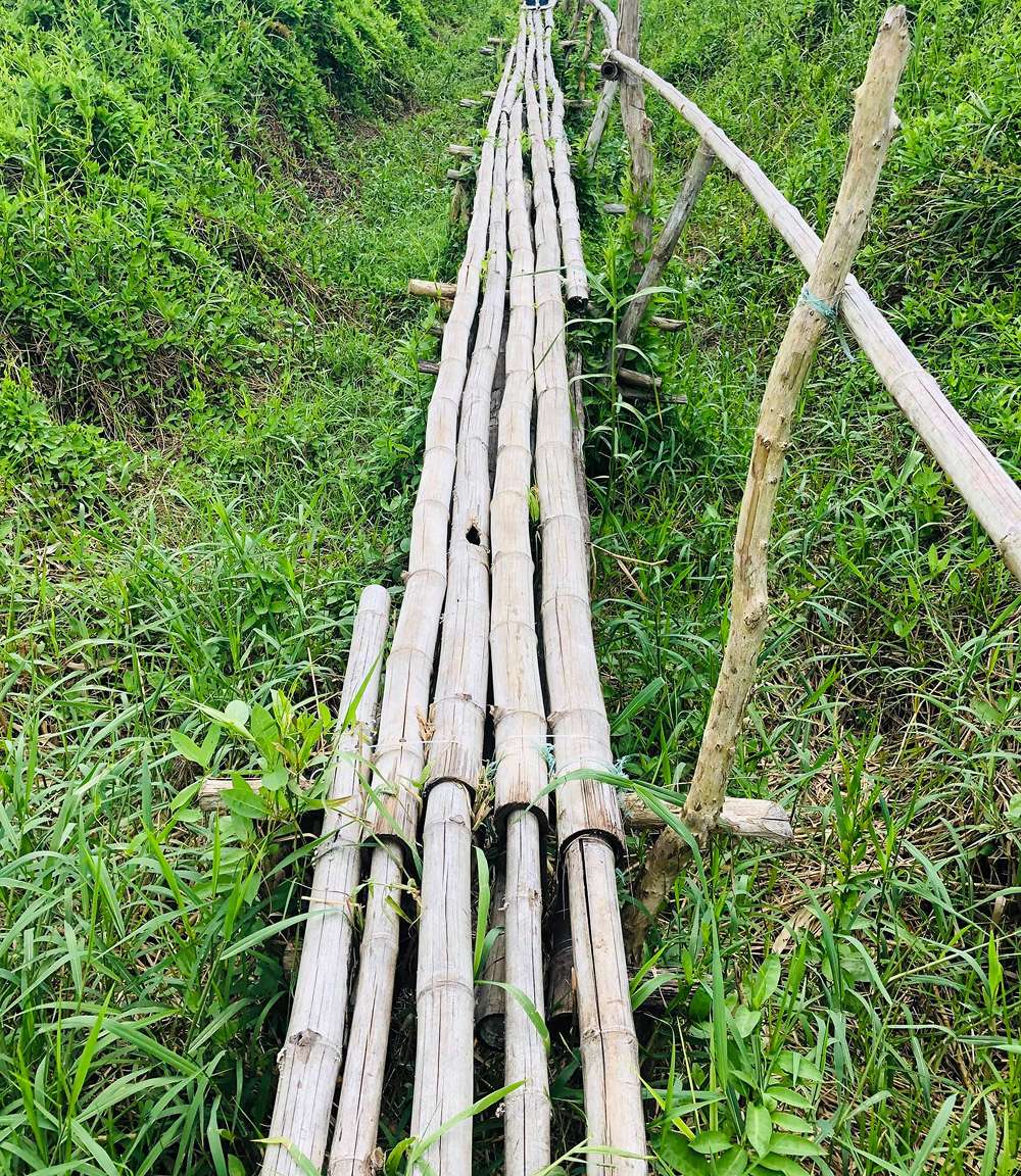 Trải nghiệm đi cầu khỉ