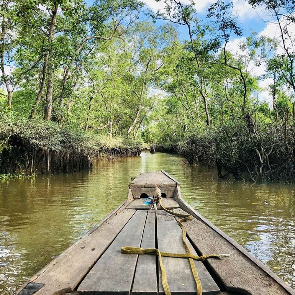 Trải nghiệm đi xuồng len lỏi qua kênh rạch