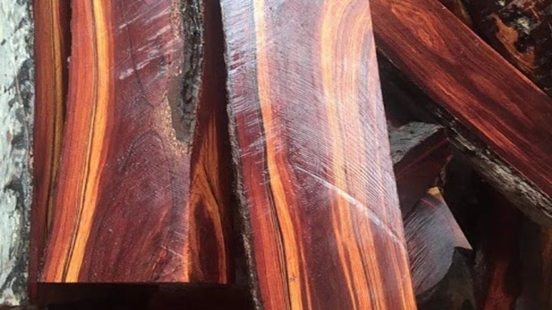 Gỗ có độ dai, không bị cong vênh hay mối mọt, có khả năng chịu nắng mưa tốt, thích ứng với thời tiết khắc nghiệt.