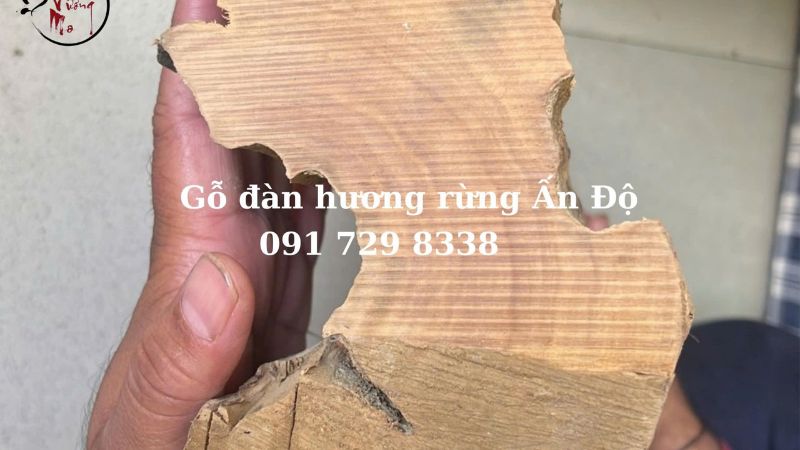 Gỗ đàn hương Ấn Độ lâu năm