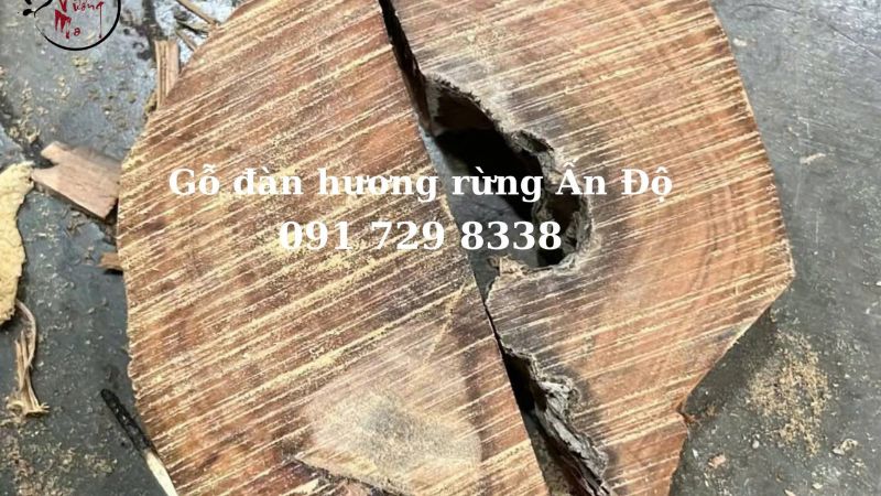 Đàn hương rừng già lâu năm có chất gỗ rất chắc chắn, nặng, mịn và có độ bóng tự nhiên cao