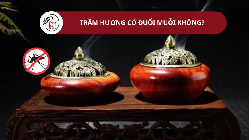 Bật mí 3 cách đuổi muỗi bằng trầm hương hiệu quả, tại nhà