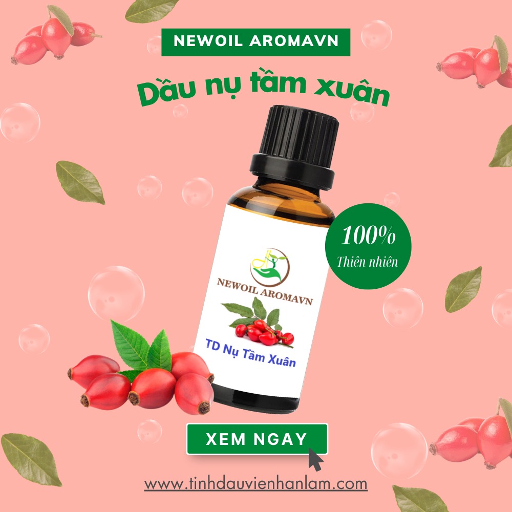 Dầu nụ tầm xuân Newoil Aromavn