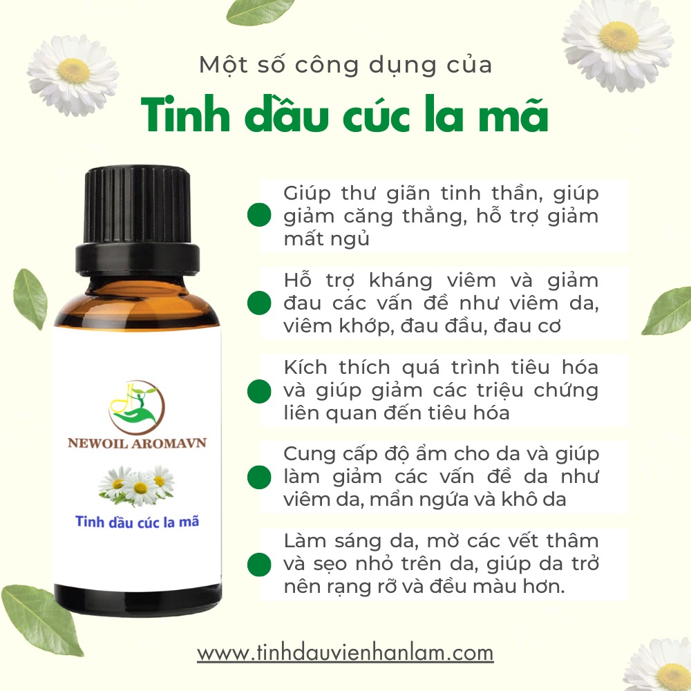 Công dụng và lợi ích của tinh dầu Cúc La Mã