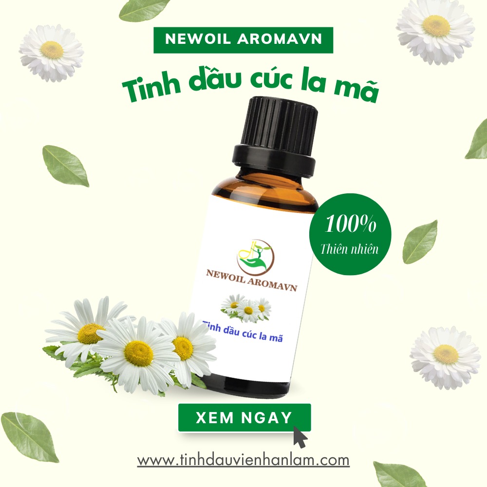 Tinh dầu Cúc La Mã nguyên chất Newoil Aromavn