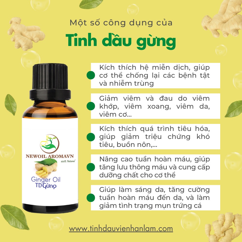 Công dụng và lợi ích của tinh dầu Gừng