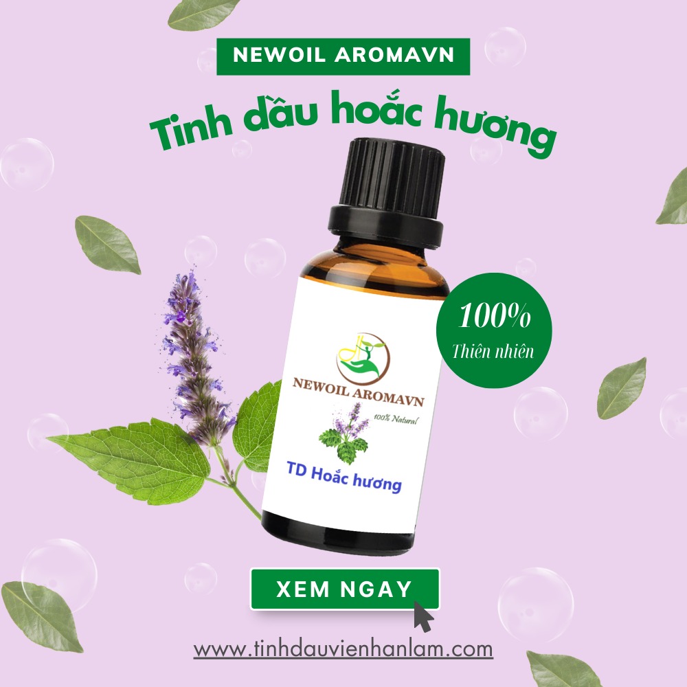 Tinh dầu Hoắc Hương nguyên chất Newoil Aromavn