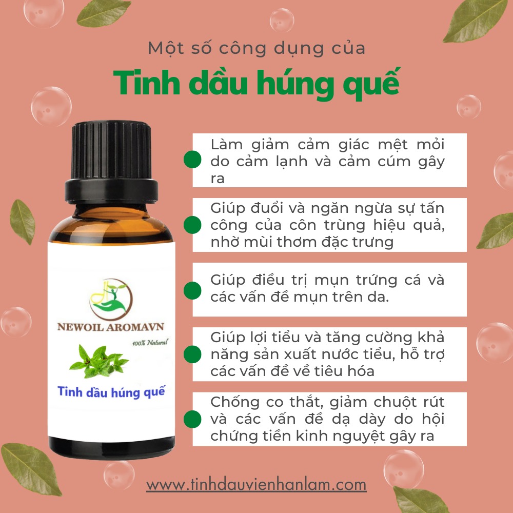 Công dụng và lợi ích của tinh dầu Húng quế