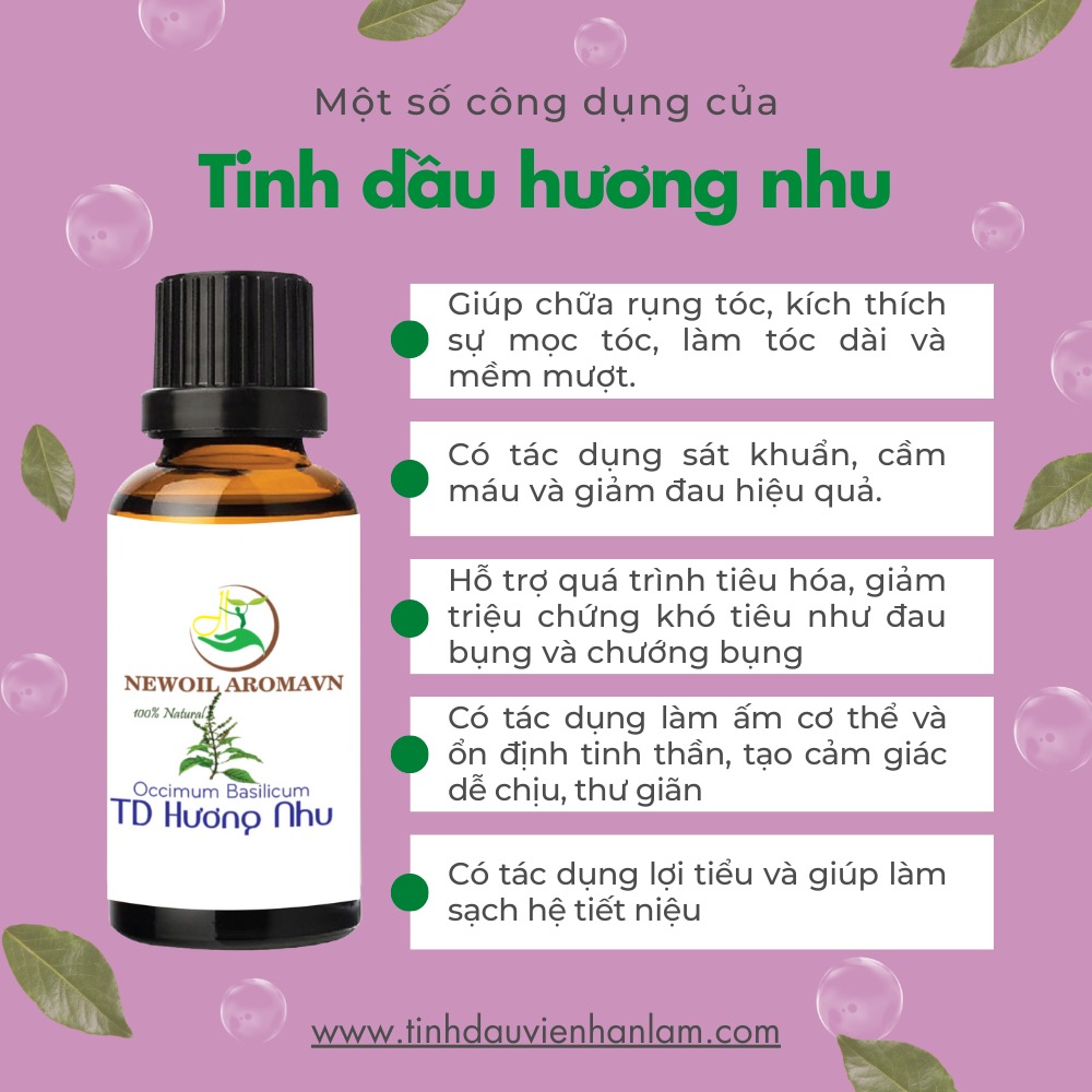 Công dụng và lợi ích của tinh dầu Hương nhu