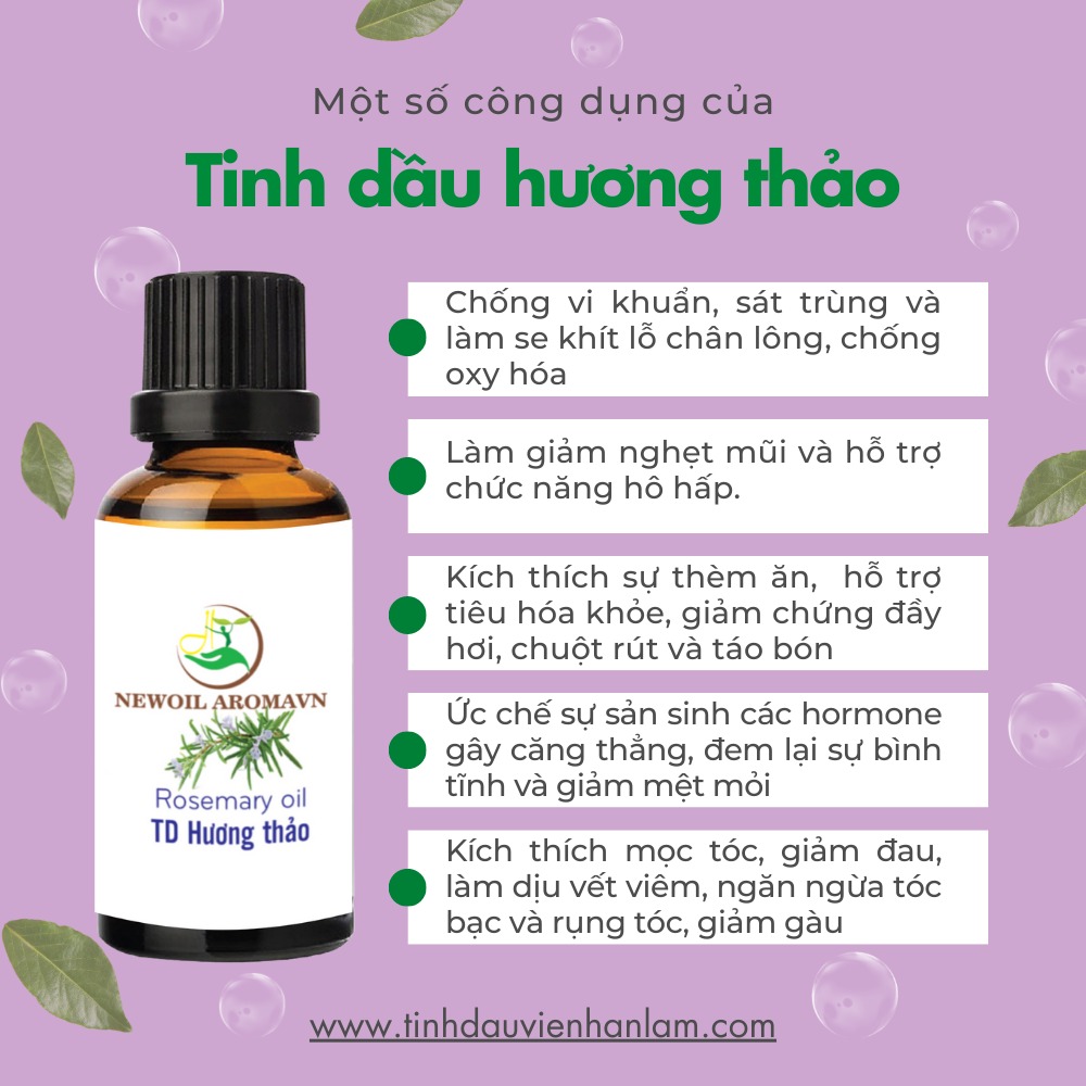 Công dụng và lợi ích của tinh dầu Hương Thảo