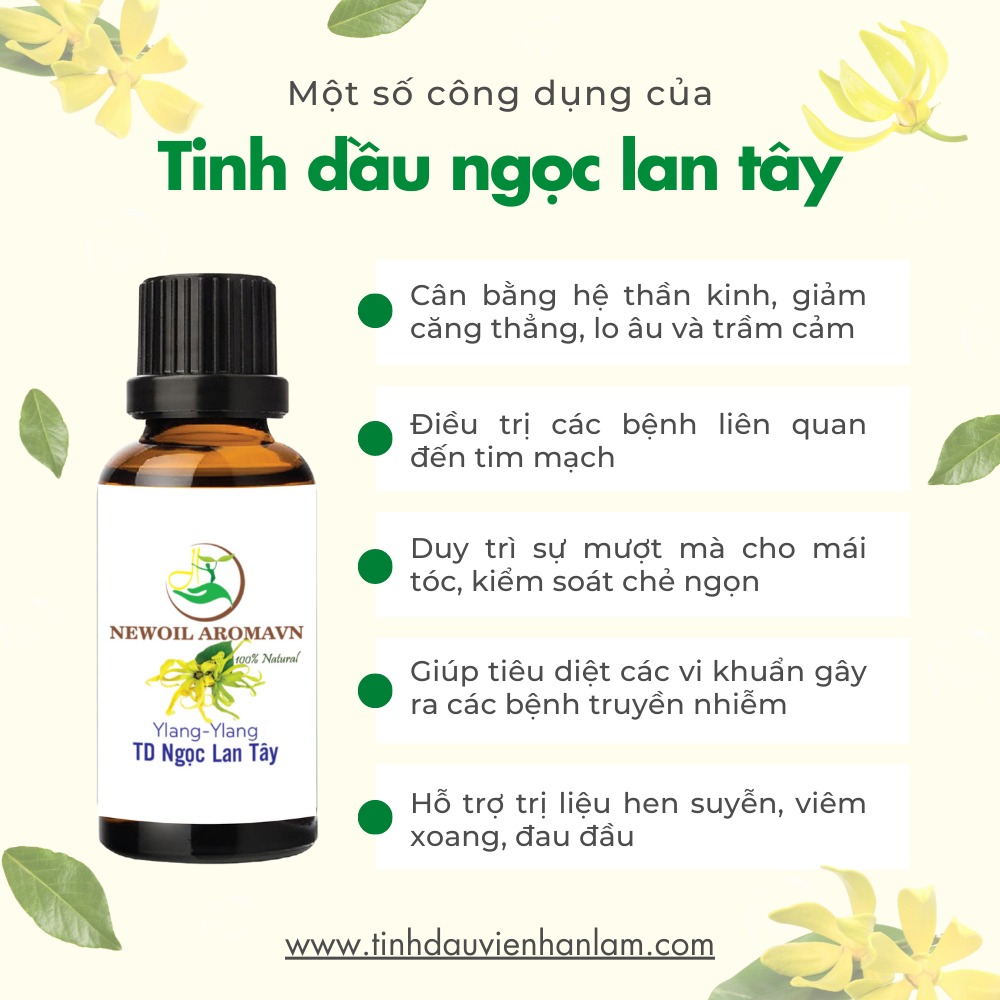 Công dụng và lợi ích của tinh dầu Ngọc lan tây