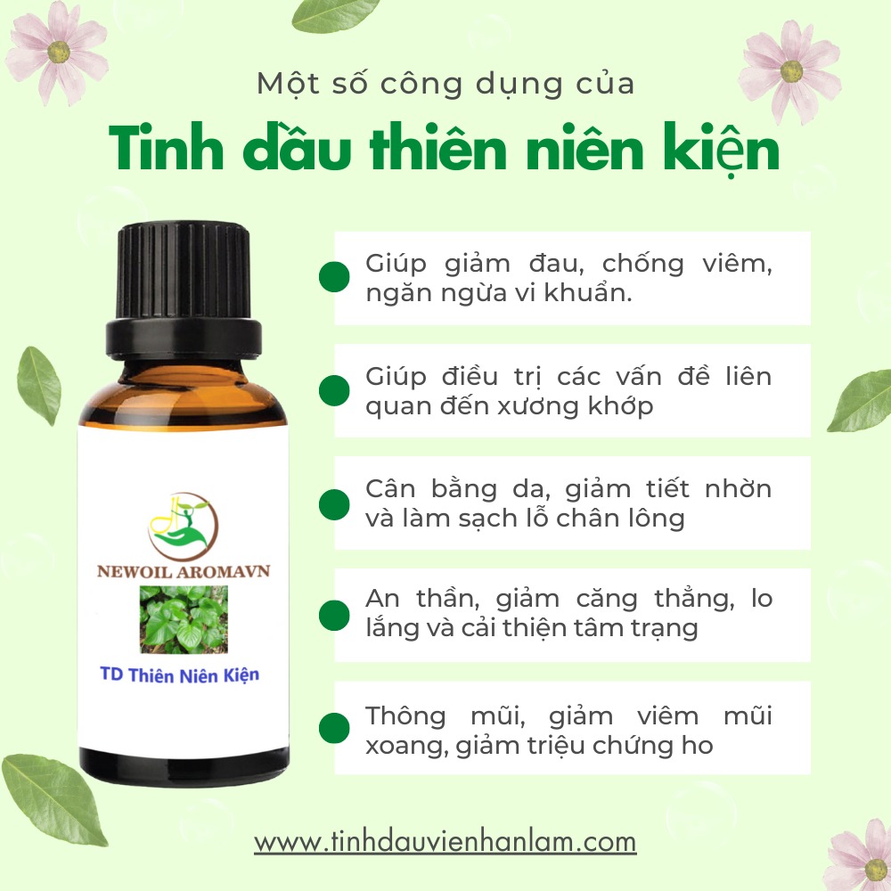 Công dụng và lợi ích của tinh dầu thiên niên kiện