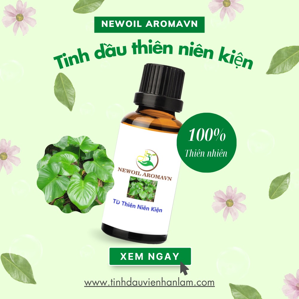 Tinh dầu thiên niên kiện nguyên chất Newoil Aromavn