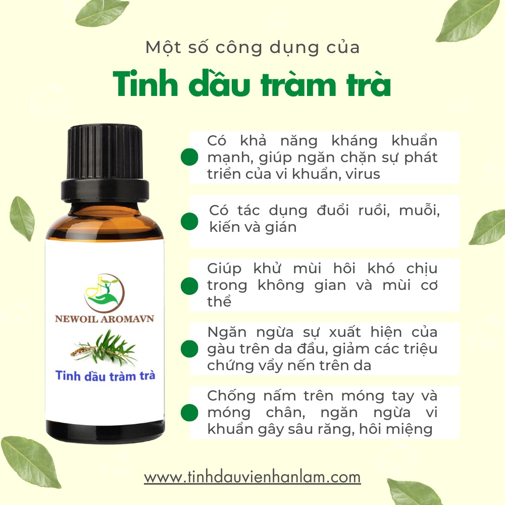 Công dụng và lợi ích của tinh dầu Tràm trà