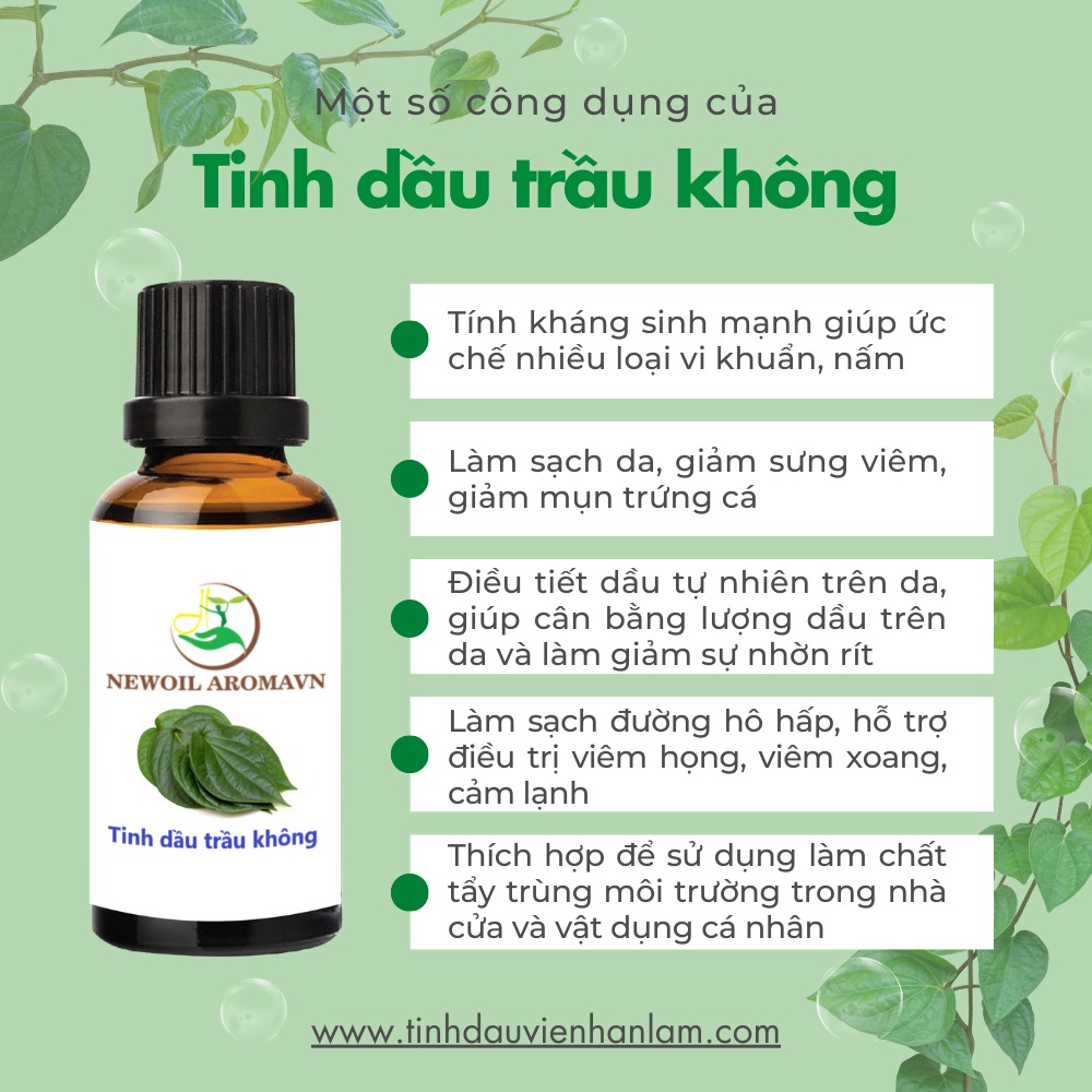 Công dụng và lợi ích của tinh dầu Trầu không